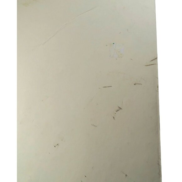 Andrew Bird 2012 San Diego Poster – Stavis Seiberling Art S/N Serigraph 18x24 - Picture 9 of 11